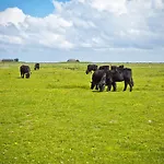 Anker's Hoern - & Restaurant Auf Der Hallig 호텔 Langeneß