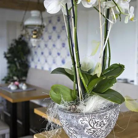 Szálloda Anker's Hoern - & Restaurant Auf Der Hallig 3*