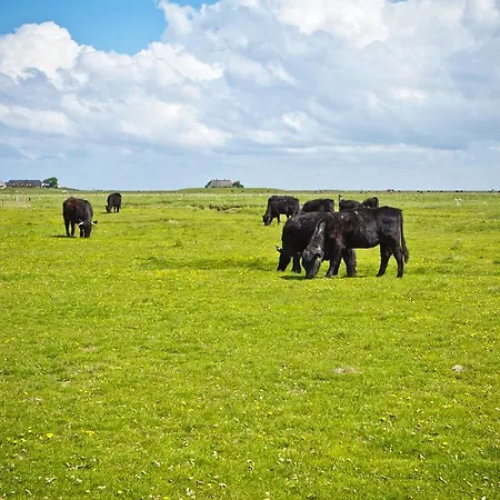 Anker's Hoern - & Restaurant Auf Der Hallig Отель Лангенес